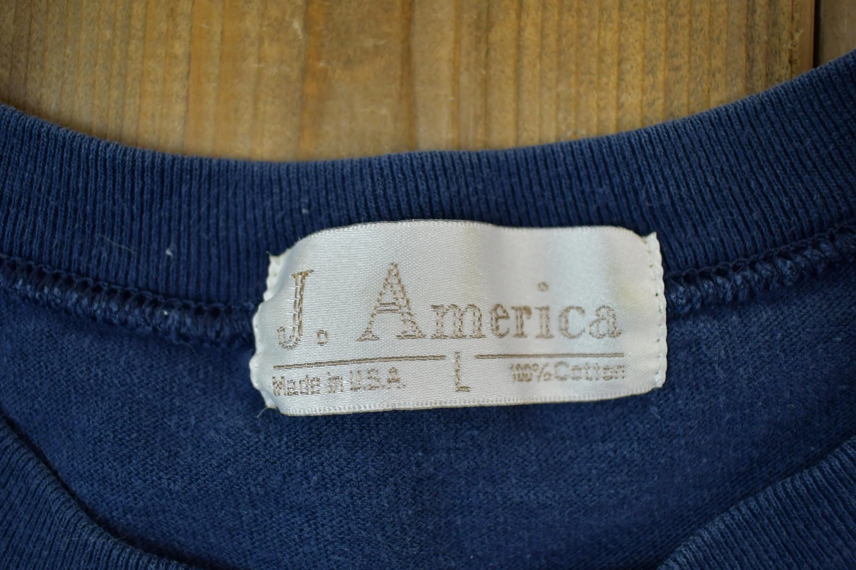 Vintage 1990s Grand Valley State J America University Collegiate T-Shirt Men's Large - Image 5