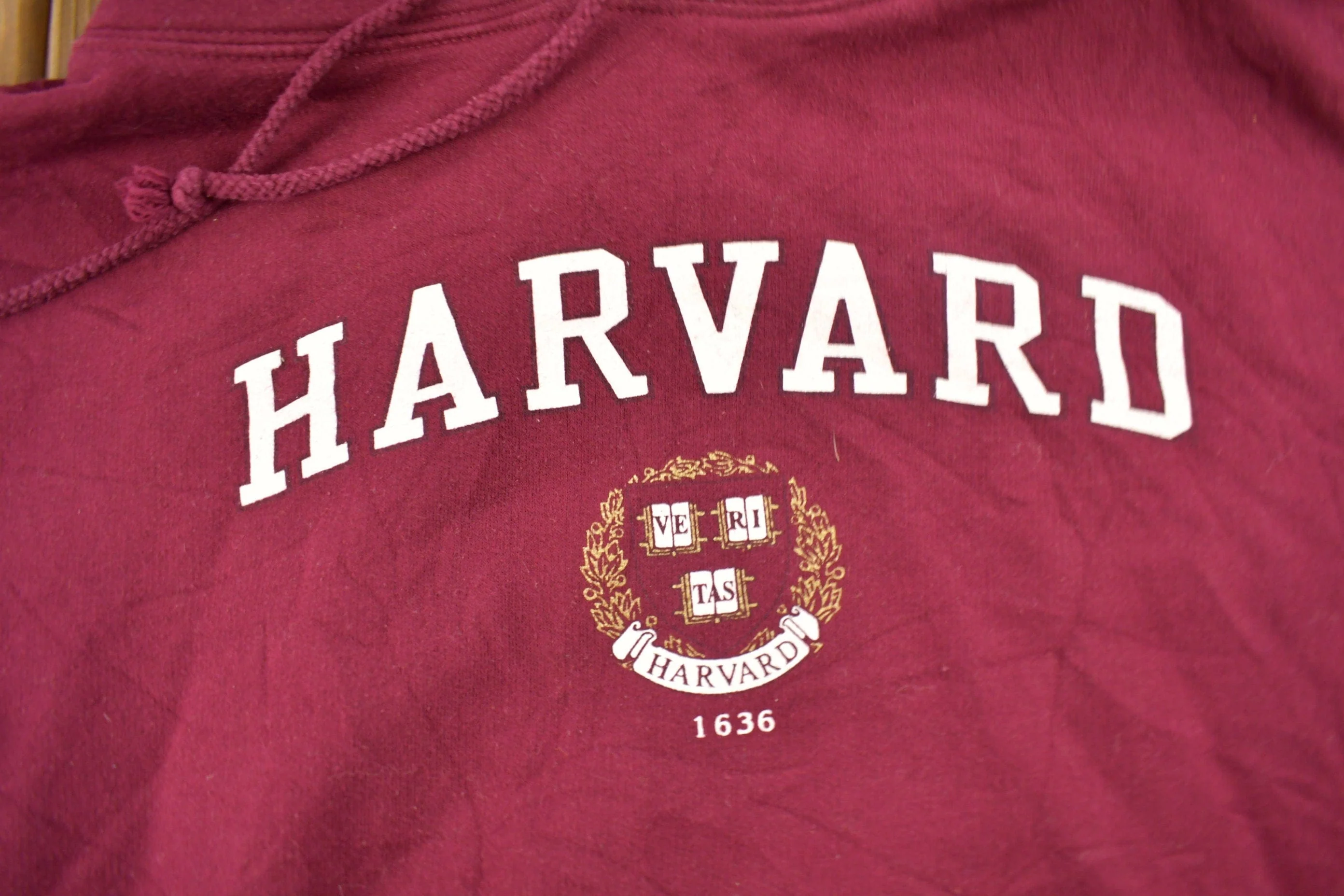 Vintage 1990s Harvard University Collegiate Hoodie Men's Medium - Image 3