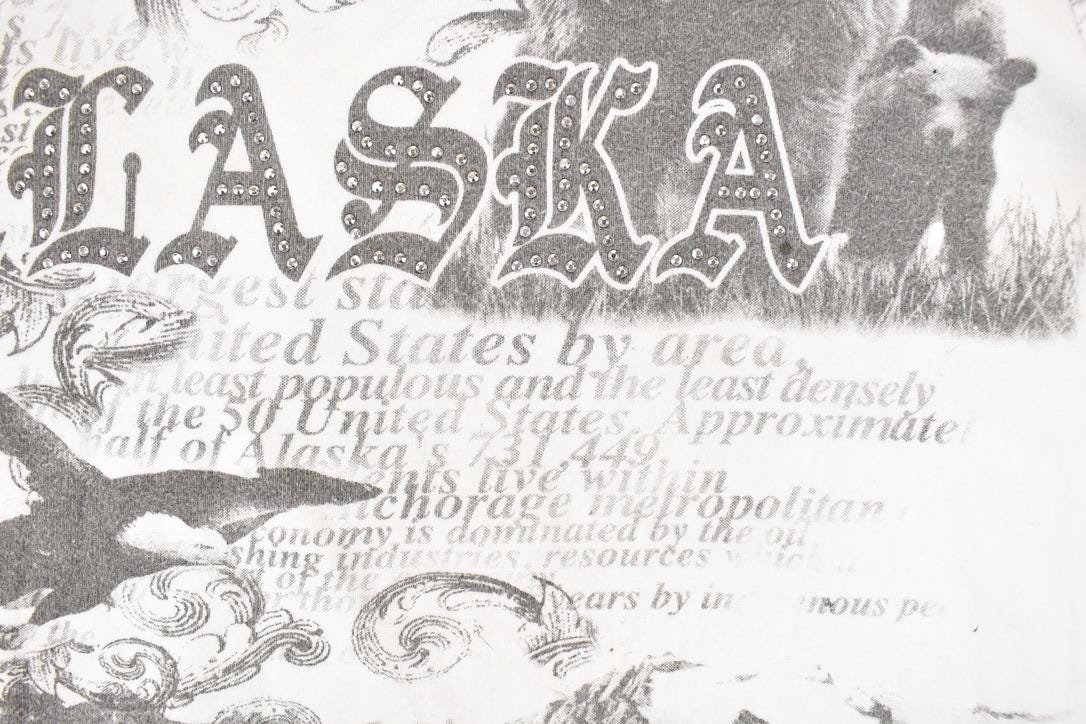 Vintage Y2K Alaska AOP Souvenir Travel T-Shirt Women's M - Image 3